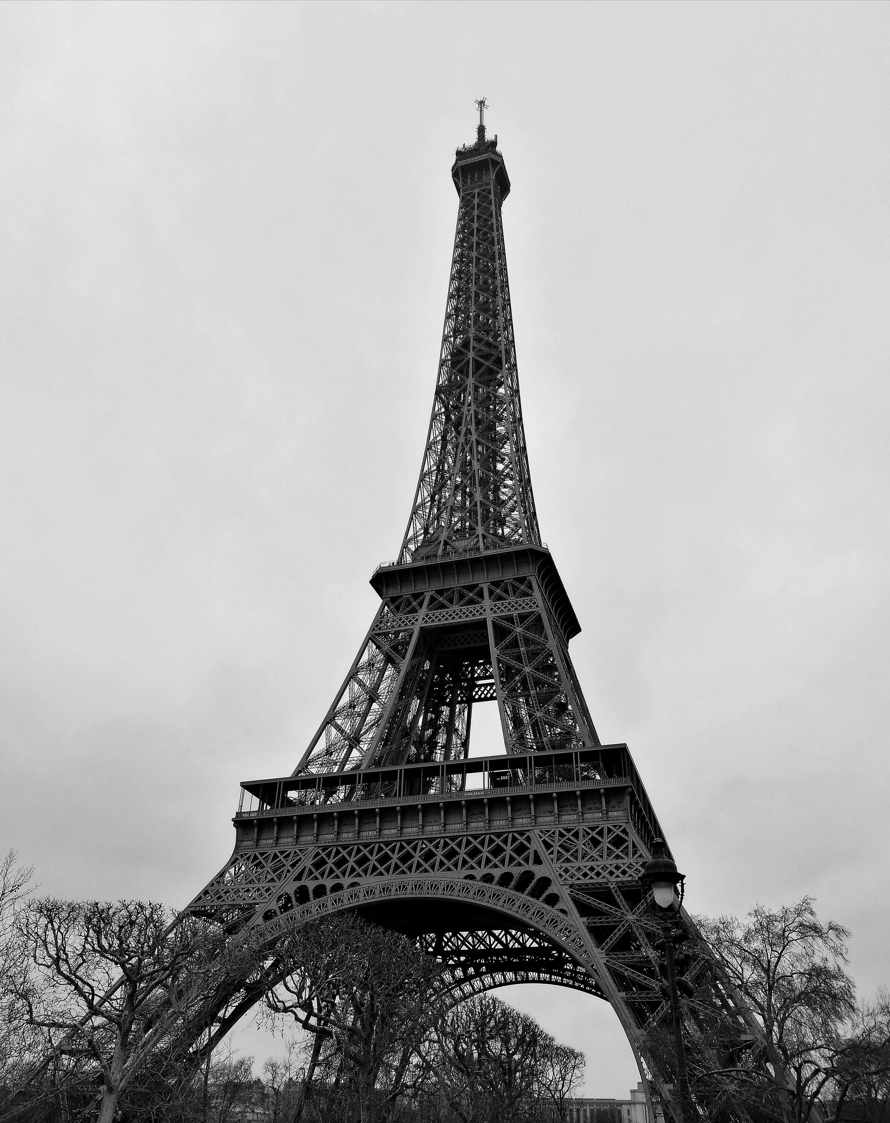Eiffel Tower, Paris By Lyn Roseaman